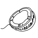 Simplified line drawing of a coconut shell